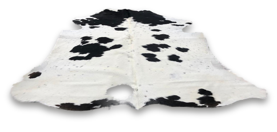 Cowhide rug in a 3D room